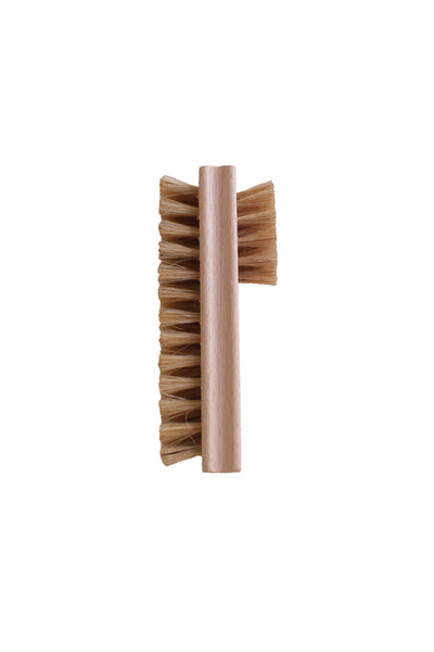 The Tarrago Tedd’s Combi Shoe Brush features natural bristles and a cylindrical wooden handle, shown upright on a white background. Its double-sided design is ideal for applying shoe polish or leather cream.