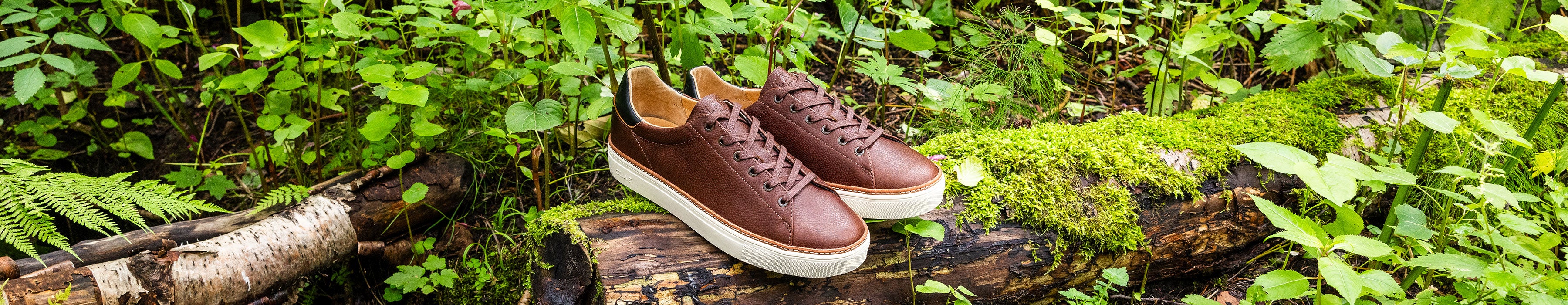 shoe-care-banner-desktop