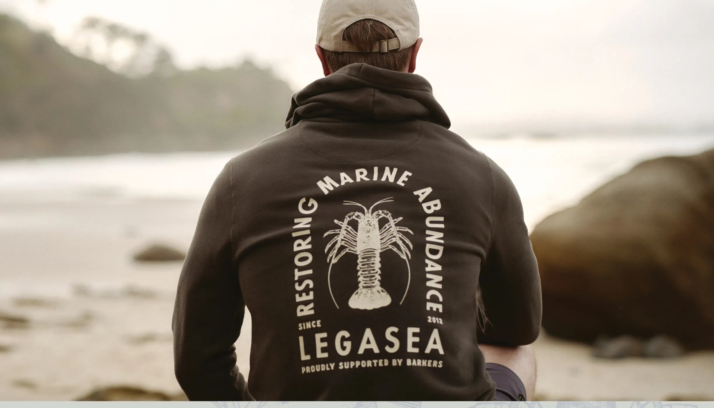 BMC_LegaSea_Website_Landing_Page_Desktop_01_1